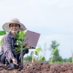 Mujeres en Sustentabilidad: Rompen Barreras en Puestos Directivos