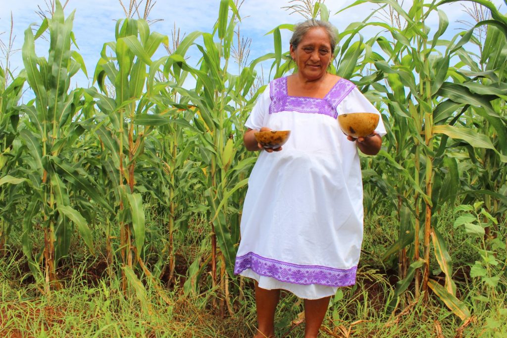 Mujeres rurales en México: la clave del desarrollo económico