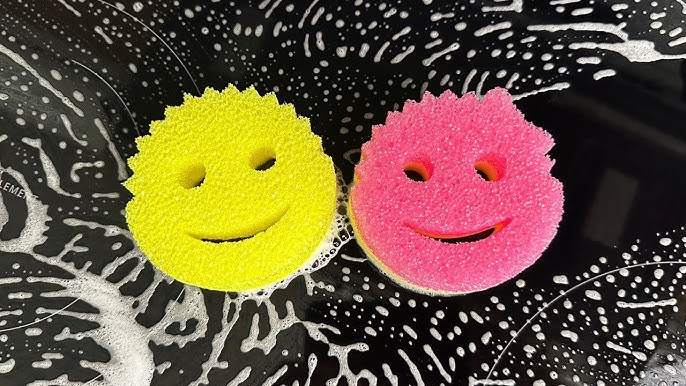 Scrub Daddy: De Shark Tank a un Éxito Millonario