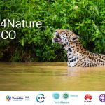 Jaguar preservación: Iniciativa Tech4Nature protege al felino y su hábitat